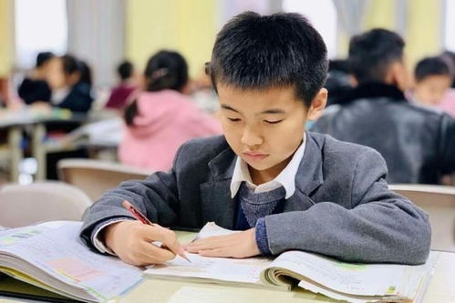 教育改革新戰略即將落地，家長心態需理性調整