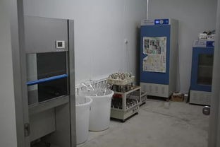 雙興新盛木耳菌包廠 優(yōu)質(zhì)菌包熱銷中，專業(yè)技術(shù)助力致富路